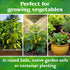 4-4-4, 1 lb Down To Earth All Natural Fertilizers Organic Vegetable Garden - Plant Food for Vegetables, Herbs, Greens