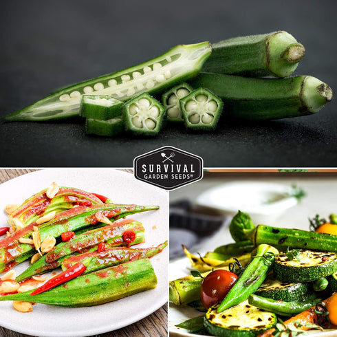 Packet 3 Pack Survival Garden Seeds - Emerald Okra Seed for Planting - with Instructions to Plant and Grow Tender