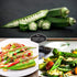 Packet 3 Pack Survival Garden Seeds - Emerald Okra Seed for Planting - with Instructions to Plant and Grow Tender