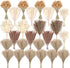CKBT 610 PCS Dried Pampas Grass Decor, Dried Flower Bouquets for Wedding, Home,