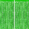 CHRORINE 2pcs 3ft x 8.3ft Green Tinsel Foil Fringe Curtains, Streamers Backdrop for Birthday Jungle Safari Party