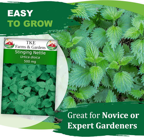 2000 (500 TKE Farms & Gardens - Stinging Nettle Seeds for Planting - Non-GMO Heirloom Seeds mg) - Urtica dioica
