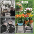 5 Pack Metal Plant Stand Plant Stands for Indoor Outdoor Plants Multiple Heavy Duty Flower Pot Stand Holder Rustproof
