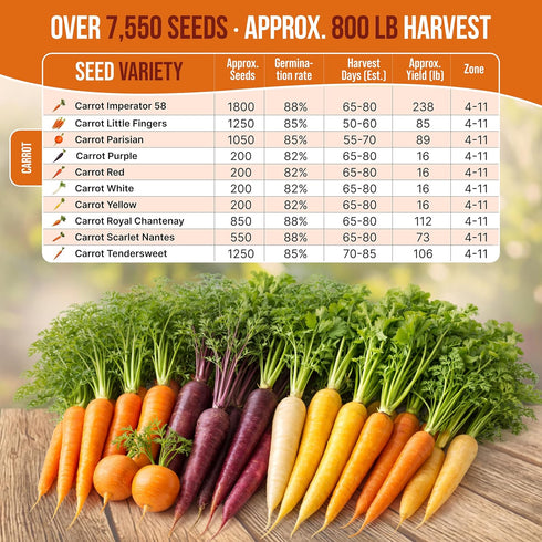 10 Pack 7,550+ 58, Organo Republic Unique Carrot Seeds Variety - Non-GMO Heirloom Carrot Seeds for Outdoor & Indoor