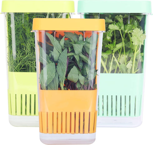 3 Pack Fresh Herb Keeper for Refrigerator, Clear BPA-Free Herb Saver, Storage