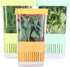 3 Pack Fresh Herb Keeper for Refrigerator, Clear BPA-Free Herb Saver, Storage