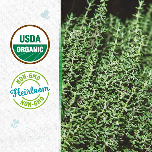 100% Packet 70mg Back to The Roots Organic Seed - Thyme 'English'