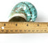 Worlds 3-1/2"~4" Inch Large Polished Green Jade Turbo Sea Shells&Hermit Crab Sea Shells,Turbo Shells