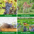 25'x50' 2" BSTPCOO Bird Netting with Mesh Garden Net with Bird Scare Tape, Avian Nettings for Chicken Coop Roof, Heavy