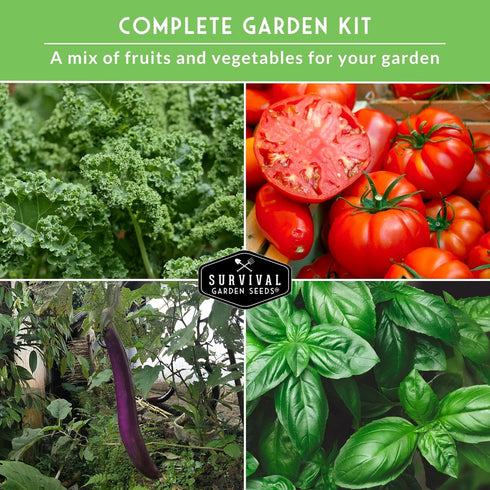 20 Vegetable Garden Starter Kit Variety Heirloom Non-GMO Seeds for Planting | Giftable Family Garden Kit for Beginner