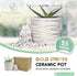 Willowy 6 Inch Ceramic Pot, Matte White with Gold Stripes, Drainage Plug Included