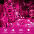 Purple Halloween Lights Outdoor, 50 Count Waterproof Fairy Lights for Holiday Decorations