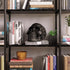 READAEER Resin Skull, Human Head Model for Home Decoration, Halloween Statue, Skull Model for Bookshelf and Desktop