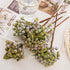 8 Bundles of 11.4" Artificial Berry Stems, Floral Sprays Berry Fruit Picks for Home D cor, Wedding, Garden (Pinkish