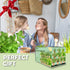 EquSym 10 Herb Window Garden Kit Indoor - Herb Seeds for Indoor & Outdoor Gardening, Seeds for Planting, Gardening Gift