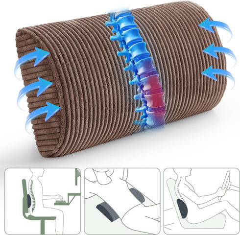 HIGOGOGO Lumbar Support Pillow for Recliner Chair/Accent Chair/Couch, Memory Foam Back Support Cushion for Elderly