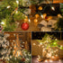 Set 2 Pack 50 Count 13 Bulb Hopolon Clear Christmas Lights Feet Incandescent Green Wire Mini String Lights for Indoor