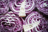 Axel's Garden Seeds Packets 1 Packet Cabbage Seeds for Planting - Plant & Grow Red Acre Cabbage in Your Home Outdoor