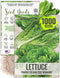 Seed Needs Romaine Lettuce Seeds for Planting Parris Island COS - Non-GMO