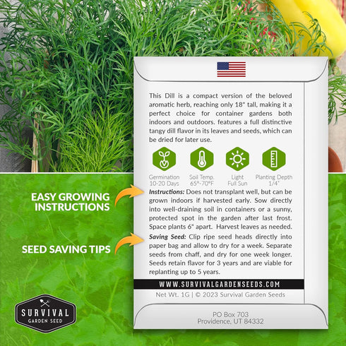 (1 Pack) Compact Dill Seeds for Planting Dwarf Dill for Containers & Small-Space Gardens High Germination Heirloom