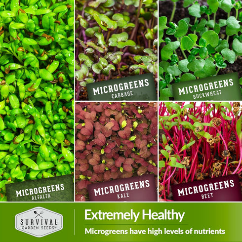 Pack 10 Packs Microgreen Seeds Variety Heirloom Types for Indoor Sprouting Broccoli, Pea, Sunflower, Radish, Kale