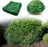 3 Pack (8'x8') Deer Netting Heavy Duty Bird Netting, Chicken Coop, Fruit Trees, Plants, Plastic Fence, Bird Screen