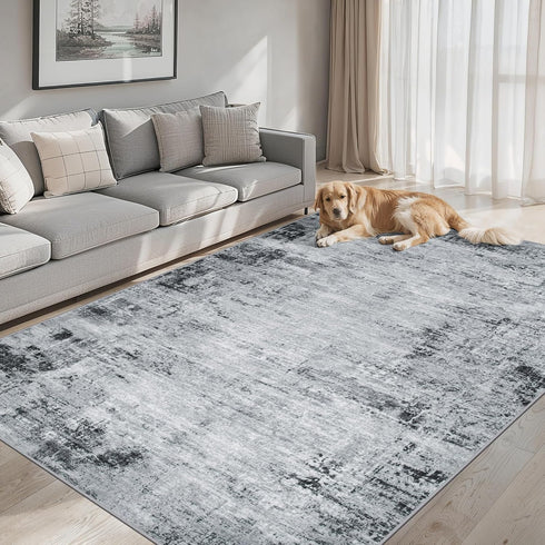 5x7 Area Rugs Living Room Rug - Washable Modern Abstract Soft Neutral Non-Slip Carpet Large Indoor Floor Thin Carpets