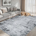 5x7 Area Rugs Living Room Rug - Washable Modern Abstract Soft Neutral Non-Slip Carpet Large Indoor Floor Thin Carpets
