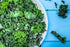 Axel's Garden Seeds 1 Packet 200 Curled Blue Kale Seeds for Planting Plant & Grow Heirloom Non-GMO Curled Blue Vates