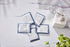 Garment Steamer Descaling Solution Packets, 5 Packs for Mineral Deposits Removal, Works with All Brands