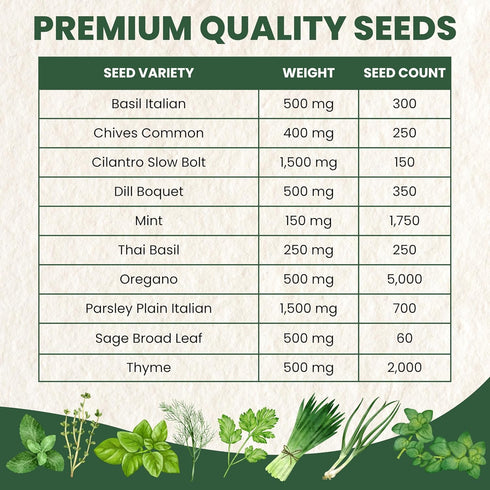 10 Packs 2026 Herb Seeds | Individual | Season | Non-GMO | Mint, Parsley, Basil, Thyme & More! | for Planting Indoor