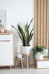 Comfort Zone Ultrasonic Personal Portable Humidifier, 6 Hour Operation, Whisper Quiet, Travel, White (CZHD20)