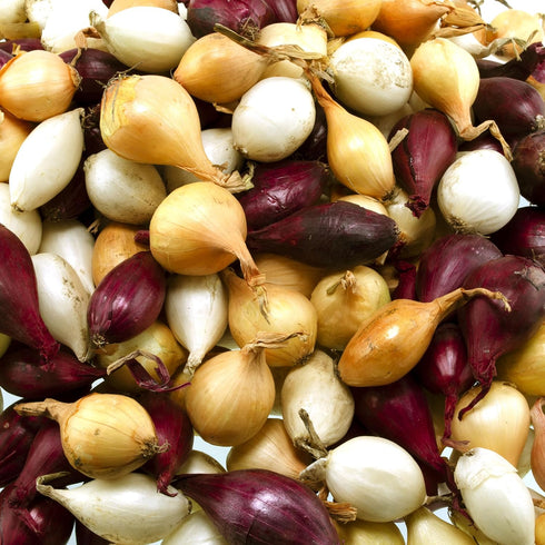 50 Count Sets Bulbs Mixed Onion Assortment Plus Onion - Red, White and Yellow Varieties Non-GMO Onion