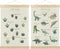 BCUANGD Dinosaur Dino Paws Wall Decor - Baby Toddler Boys Room Wall