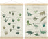 BCUANGD Dinosaur Dino Paws Wall Decor - Baby Toddler Boys Room Wall
