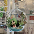 WGV Clear Glass Hanging Terrarium Globe, 7" Width, 8" Height, DIY Air Succulent Planter, 1 Piece