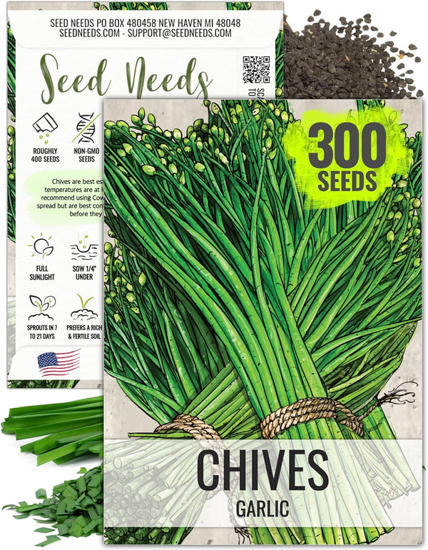 Seed Needs Chive Seeds for Planting Garlic Chives - Non-GMO Heirloom &