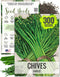 Seed Needs Chive Seeds for Planting Garlic Chives - Non-GMO Heirloom &