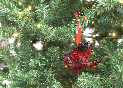 Department 56 Cardinal Bird Hanging Ornament - Acrylic Christmas Basics, 3.125 Inch, Red