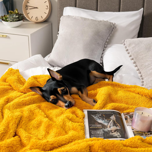 Cozy 60x80 PAVILIA Sherpa Throw Blanket for Couch Sofa, Mustard Yellow Fluffy Warm Plush Blanket for Twin Bed, Super