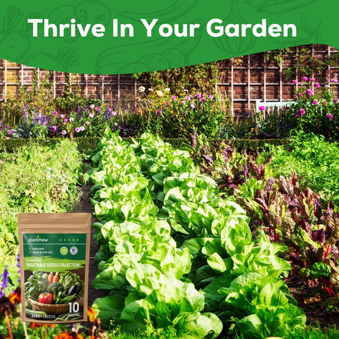 10 Pack Vegetable Seeds - Non GMO, Heirloom - Basil, Snap Pea, Broccoli, Bean, Jalapeo Pepper, Tomato, Lettuce