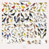 Pop Chart Birds of North America Large-Format Poster, 36" x 24", Illustrated Wall Decor for Nature Lovers