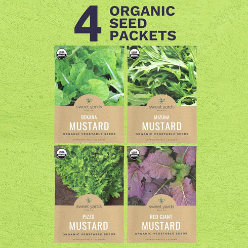 Pack 4 Packs 2026 Organic Mustard Green Seeds Variety - Individual - Season - Mizuna, Pizzo, Bekana, and Red Giant!