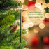 Scentsicles Scented Christmas Ornaments, 6 Ornaments & Hooks, All Natural Holiday Air Freshener (Spiced Pine Cones)