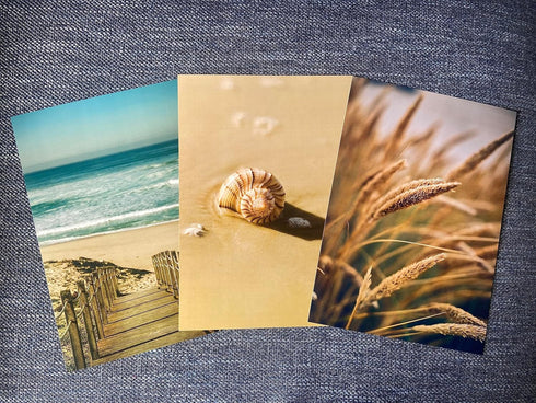 Sandy Beach Landscape Set of 3 Unframed Wall Prints, Coastal Sea Shell Ocean Waves Beach Path Wooden Bridge Reeds Posters, Bathroom Living Room Bedroom Kitchen Office Hallway Home Decor (8x10)