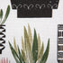 DII Urban Cactus Kitchen Collection, 14x72 Table Runner
