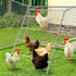 YUMEKA Large Chicken Roosting Bars with Swing (74.4"), Sturdy Metal Chicken Perch for
