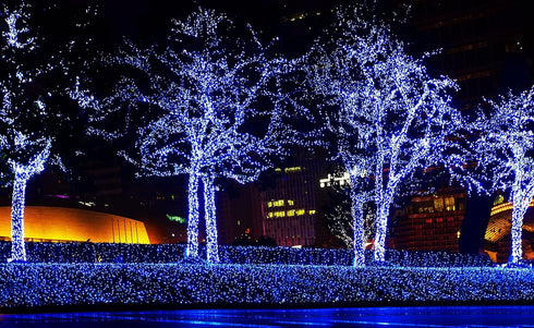 612 50 9 11 Vermont Blue Christmas Lights on a White Wire String, UL Approved, Indoor and Outdoor Use, Foot of Lighted