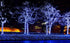 612 50 9 11 Vermont Blue Christmas Lights on a White Wire String, UL Approved, Indoor and Outdoor Use, Foot of Lighted