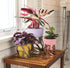 5 Inch The HC Companies Indoor Plant Pot with Stand Small Honey Colored Curio Planter with a Geometric Stand in an
